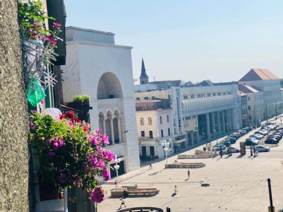 Joy City Stay Republicii 19 Timisoara Luaran gambar